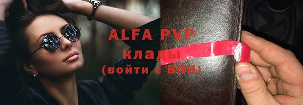 крисы Алексин